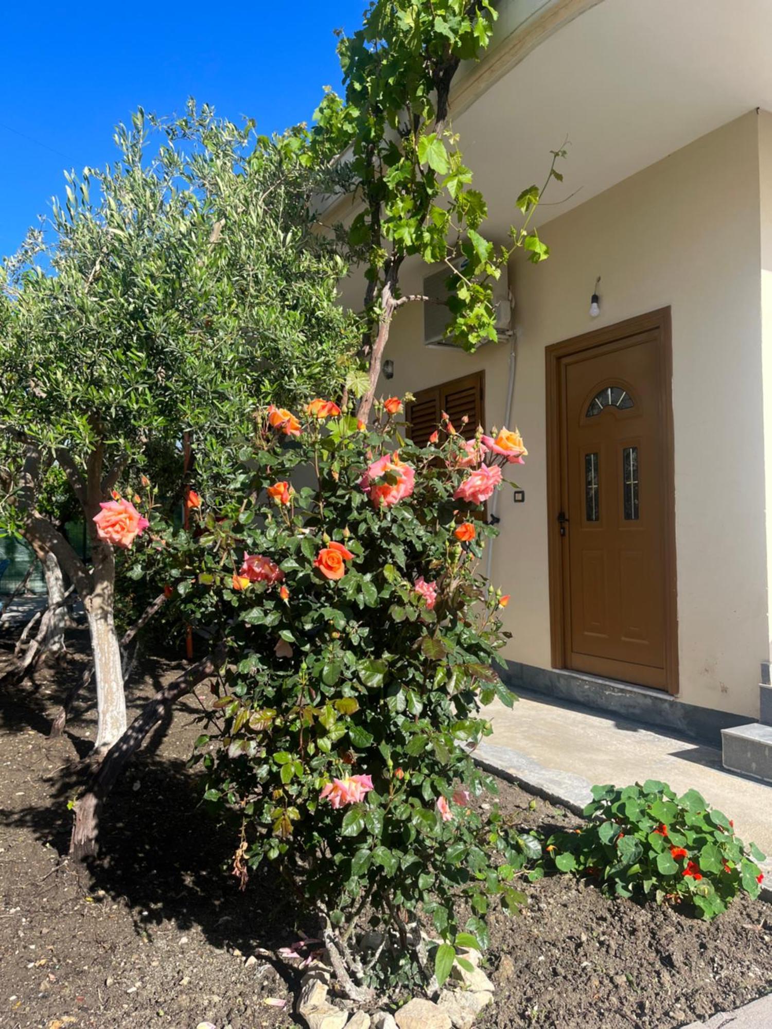 Blossom Apartments Vlore Exterior photo