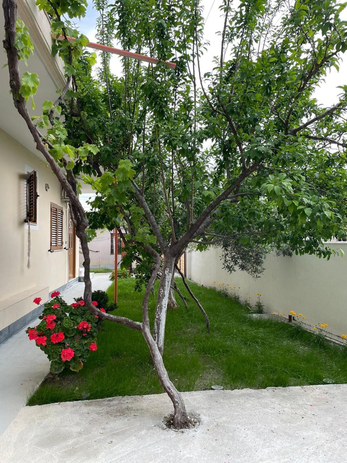 Blossom Apartments Vlore Exterior photo